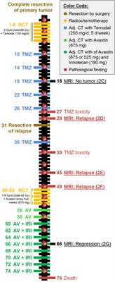 Modulations in the Peripheral Immune System of Glioblastoma Patient Is Connected to Therapy and Tumor Progression—A Case Report from the IMMO-GLIO-01 Trial